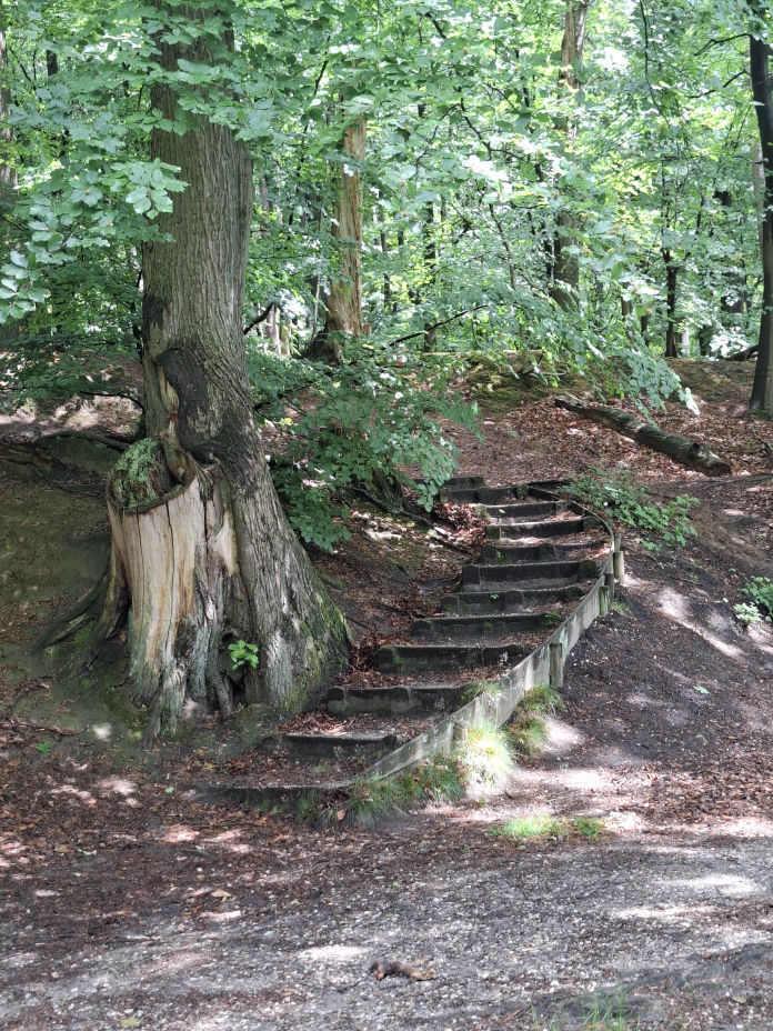 Bosbaden Sonsbeekpark Arnhem